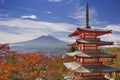 Chureito pagoda and Mount Fuji, Japan in autumn Royalty Free Stock Photo